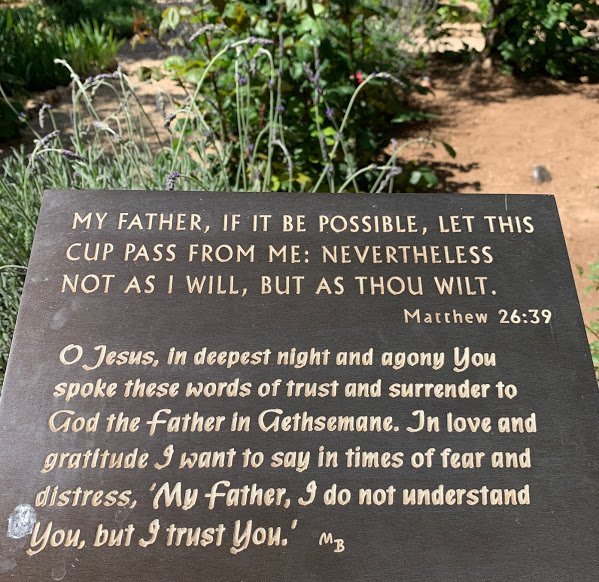 Jesus, I trust in you!