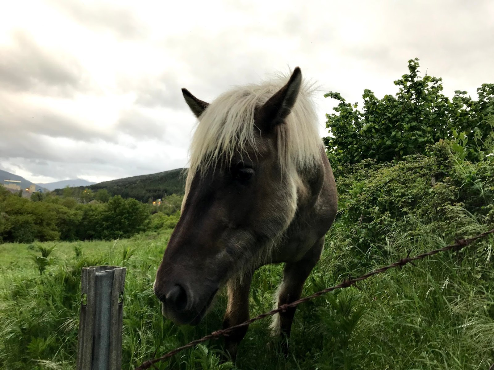 On my way … Day 3 Zubiri to Pamplona