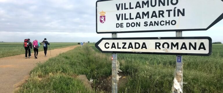 On my way … Day 19 … Calzadilla to Mansilla
