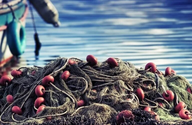 As a follower of Christ, I drop my Net!