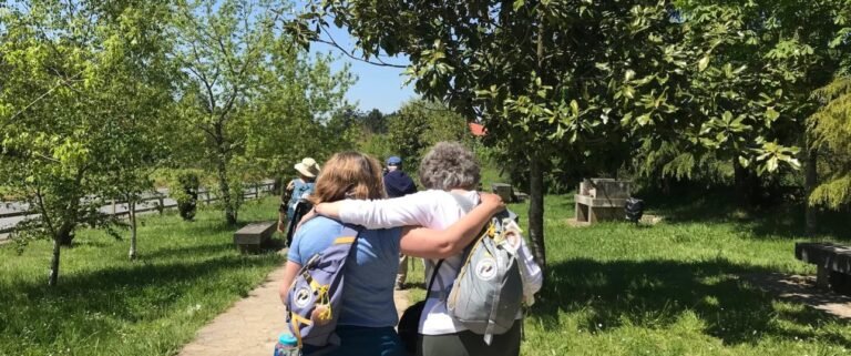 Simplicity: Focus on what’s important!